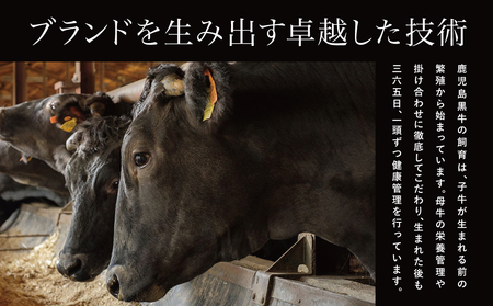 【和牛日本一】5等級 鹿児島黒牛 すきやき用 肩ローススライス 900g 黒毛和牛 お肉 国産 冷凍 JA食肉かごしま ギフト 贈答