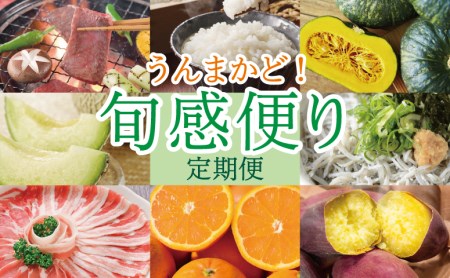 □【定期便】うんまかど!南さつま旬感便り