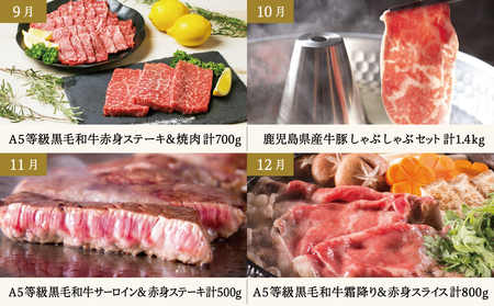 定期便 全12回】情熱牧場 鹿児島県産お肉の定期便 プレミアムコース お