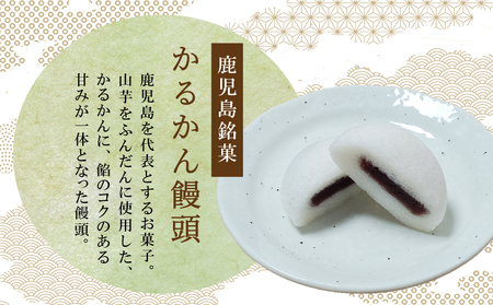 【創業嘉永2年の老舗】小田屋の薩摩銘菓詰合せ 4種(計19個) 詰め合わせ ギフト 和菓子 郷土菓子 スイーツ 鹿児島 南さつま市