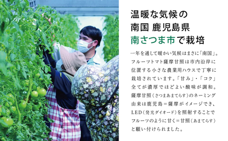 鹿児島県産 フルーツトマト 薩摩甘照ジュース 計1L（500ml×2本） さつまあまてらす トマト とまと 野菜 ジュース 飲料 ドリンク 高槻電器工業 南さつま市