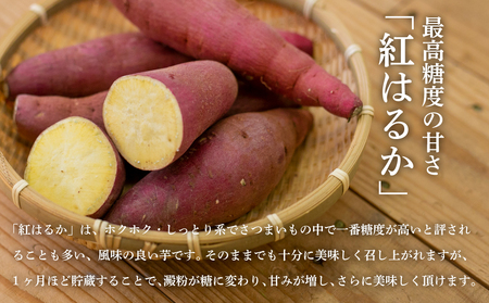 【2024年12月下旬発送】鹿児島県産生さつまいも 「紅はるか」約5kg さつまいも 焼き芋 さつま芋 甘藷 サツマイモ べにはるか スイーツ JA 南さつま市