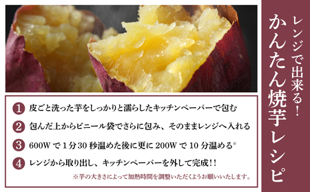 【2024年12月下旬発送】鹿児島県産生さつまいも 「紅はるか」約5kg さつまいも 焼き芋 さつま芋 甘藷 サツマイモ べにはるか スイーツ JA 南さつま市