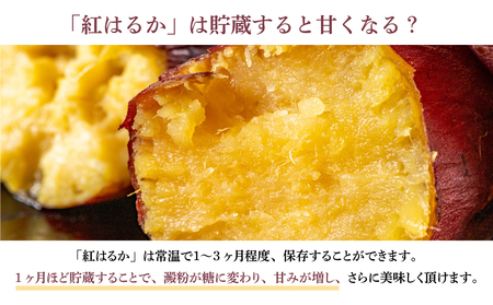 【2024年12月下旬発送】鹿児島県産生さつまいも 「紅はるか」約5kg さつまいも 焼き芋 さつま芋 甘藷 サツマイモ べにはるか スイーツ JA 南さつま市