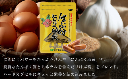 【健康補助食品】はぶ粉にんにく卵黄 （31粒入り×2袋） にんにく 卵黄 健康 美容 にんにく卵黄 食品 ニンニク 正食研究所 鹿児島 南さつま市