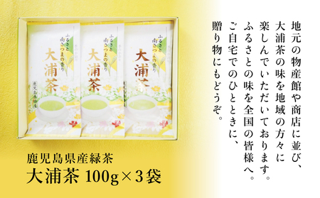 【贈答用】鹿児島県産緑茶 大浦茶 一番茶 3本セット 計300g（100g×3） ◆2024年産新茶 鹿児島県産 かごしま お茶 日本茶 緑茶 茶葉 南さつま市 徳留茶農園