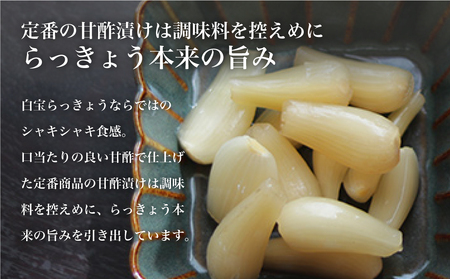 鹿児島県産 白宝らっきょう(90g×10P)
