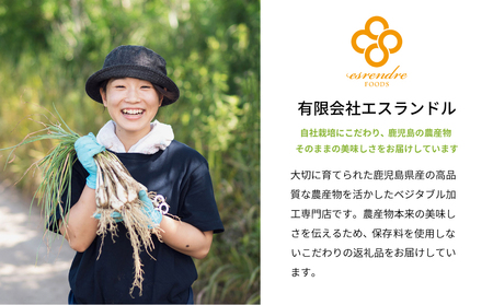 鹿児島県産 白宝らっきょう(90g×10P)