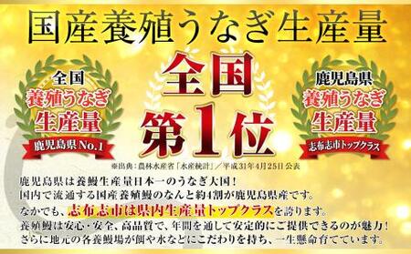 【志布志市人気No.1お礼の品】霧島湧水鰻の蒲焼き 160g以上×4尾＜計640g以上＞ b5-178 うなぎ 鰻 ウナギ 4尾 国産 九州産 蒲焼き かばやき 冷凍 うな重 ひつまぶし タレ 山椒 ランキング 人気