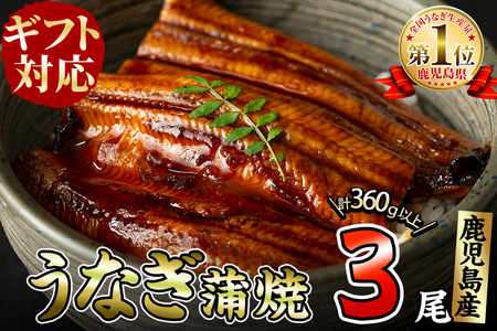 【ギフト対応】鹿児島県大隅産くすだ屋の極上うなぎ3尾(計360g以上/120g×3) a6-042