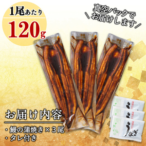 【ギフト対応】鹿児島県大隅産くすだ屋の極上うなぎ3尾(計360g以上/120g×3) a6-042