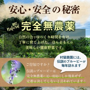 A3 065 自然栽培 天然イヌリンの力 菊芋茶 60包 包 3袋 鹿児島県志布志市 ふるさと納税サイト ふるなび