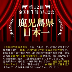 【2025年1月発送予定】＜数量限定・特別企画！＞鹿児島黒牛ウデスライス 計1.5kg(300g×5P) ウデスライス ウデ ウデ肉 牛肉 牛 黒牛 鹿児島黒牛 小分け 特別企画 数量限定 期間限定 鹿児島 鹿児島県産 b0-182-01