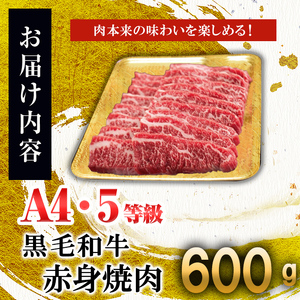 【数量限定】鹿児島県産 A4・A5等級うしの中山黒毛和牛赤身焼肉用600g a5-263