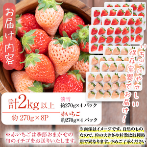 〈先行予約受付中！〉鹿児島県産いちご！志布志発祥白いちご「淡雪」4Pと季節おまかせ赤いちご4Pセット(計2kg・約270g×8P) c0-015