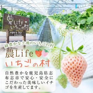〈先行予約受付中！〉鹿児島県産いちご！特別栽培農産物 いちごの村から朝摘み『淡雪』8Pセット(計2kg・約270g×8) e0-047