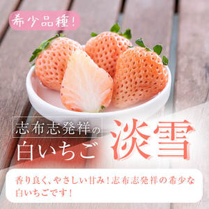 〈先行予約受付中！〉鹿児島県産いちご！特別栽培農産物 いちごの村から朝摘み『淡雪』8Pセット(計2kg・約270g×8) e0-047