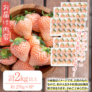 〈先行予約受付中！〉鹿児島県産いちご！特別栽培農産物 いちごの村から朝摘み『淡雪』8Pセット(計2kg・約270g×8) e0-047