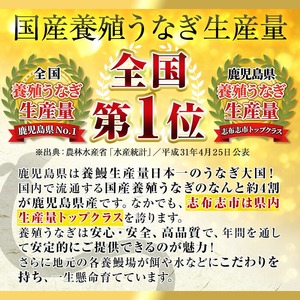 うなぎの大楠＜中＞2尾セット計260g(130g×2) うなぎ 鰻 ウナギ 2尾 国産 九州産 蒲焼き かばやき 冷凍 うな重 ひつまぶし タレ 山椒 真空パック ランキング 人気 a4-065