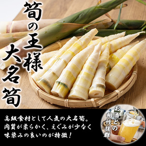 【数量限定】鹿児島県産大名筍の水煮200g×5袋（計1kg） 筍 たけのこ タケノコ 竹の子 水煮 真空 真空パック 小分け 天ぷら 土佐煮 煮物 炊き込みご飯 刺身 大名竹 大名筍 国産 鹿児島県産 a0-341