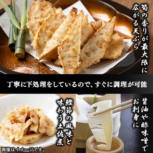 【数量限定】鹿児島県産大名筍の水煮200g×5袋（計1kg） 筍 たけのこ タケノコ 竹の子 水煮 真空 真空パック 小分け 天ぷら 土佐煮 煮物 炊き込みご飯 刺身 大名竹 大名筍 国産 鹿児島県産 a0-341