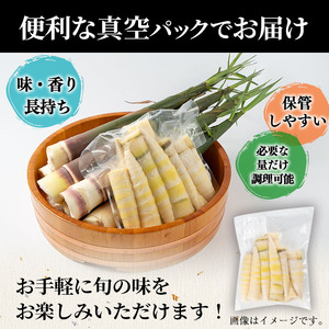 【数量限定】鹿児島県産大名筍の水煮200g×5袋（計1kg） 筍 たけのこ タケノコ 竹の子 水煮 真空 真空パック 小分け 天ぷら 土佐煮 煮物 炊き込みご飯 刺身 大名竹 大名筍 国産 鹿児島県産 a0-341