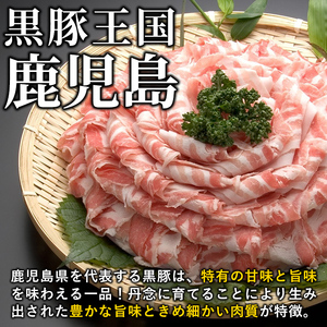 【定期便全3回】鹿児島県産黒豚＜ロース・バラ＞(計2.28kg/380g×2P×3回) 豚 豚肉 ロース バラ 黒豚 しゃぶしゃぶ スライス 薄切り 冷凍 小分け t0045-008