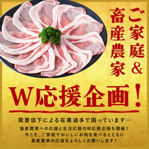 【数量限定】小分け・真空パック!九州産豚肉4種セット＜計4.5kg(計14P)＞豚肉 豚 ロース バラ モモ ウデ 肩ロース バラエティ 詰め合わせ セット 訳あり b5-182-01