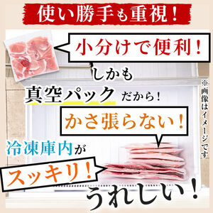 【数量限定】小分け・真空パック!九州産豚肉4種セット＜計4.5kg(計14P)＞豚肉 豚 ロース バラ モモ ウデ 肩ロース バラエティ 詰め合わせ セット 訳あり b5-182-01