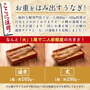 日ノ本一の鰻の蒲焼き＜大＞1尾(約190g以上) うなぎ 鰻 ウナギ 国産 鹿児島県産 九州産 蒲焼き 冷凍 うな重 ひつまぶし a3-202