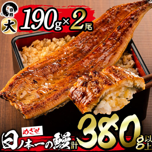 日ノ本一の鰻の蒲焼き＜大＞2尾(計380g以上) うなぎ 鰻 ウナギ 国産 鹿児島県産 九州産 蒲焼き 冷凍 うな重 ひつまぶし b0-211