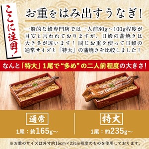 日ノ本一の鰻の蒲焼き＜特大＞1尾(約235g以上) うなぎ 鰻 ウナギ 国産 鹿児島県産 九州産 蒲焼き 冷凍 うな重 ひつまぶし a4-071