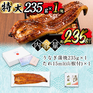 日ノ本一の鰻の蒲焼き＜特大＞1尾(約235g以上) うなぎ 鰻 ウナギ 国産 鹿児島県産 九州産 蒲焼き 冷凍 うな重 ひつまぶし a4-071