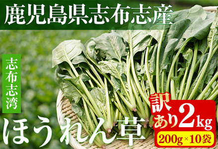 【数量限定・訳あり】志布志湾ほうれん草(計2kg 200g×10袋) サラダ おひたし お味噌汁 スムージー ほうれん草 ジュース ほうれんそう a2-081