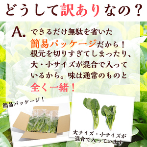 【数量限定・訳あり】志布志湾ほうれん草(計2kg 200g×10袋) サラダ おひたし お味噌汁 スムージー ほうれん草 ジュース ほうれんそう a2-081