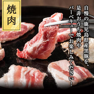 鹿児島県産黒豚焼肉2種＆焼肉のたれセット計1kg(カタロース約500g・バラ約500g・たれ210g) BBQ 焼肉 黒豚 肉 豚肉 ロース カタロース バラ 豚バラ 小分け 詰め合わせ 国産 a5-302