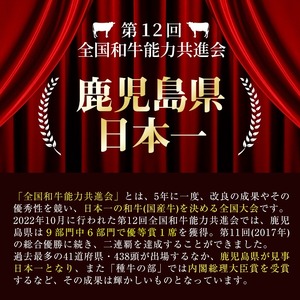 【便利な小分け！】鹿児島県産黒毛和牛こま切れ＜計1.2kg・300g×4P＞ 牛肉 肉 黒毛和牛 国産 鹿児島県産 こま切れ 小間切れ こまぎれ 冷凍 炒め物 カレー 肉じゃが 牛丼 a6-049