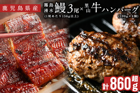 鹿児島県産 霧島湧水鰻3尾(1尾156g)×里山牛100%手作りハンバーグ4個(1個100g) (総計860g以上) うなぎ 鰻 ウナギ 蒲焼き 真空パック うな丼 鰻重 牛 牛肉 鹿児島県産 国産 ハンバーグ 100% b6-019