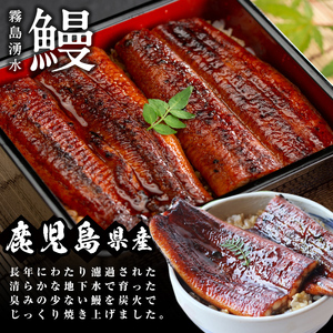 鹿児島県産 霧島湧水鰻3尾(1尾156g)×里山牛100%手作りハンバーグ4個(1個100g) (総計860g以上) うなぎ 鰻 ウナギ 蒲焼き 真空パック うな丼 鰻重 牛 牛肉 鹿児島県産 国産 ハンバーグ 100% b6-019