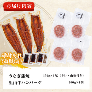 鹿児島県産 霧島湧水鰻3尾(1尾156g)×里山牛100%手作りハンバーグ4個(1個100g) (総計860g以上) うなぎ 鰻 ウナギ 蒲焼き 真空パック うな丼 鰻重 牛 牛肉 鹿児島県産 国産 ハンバーグ 100% b6-019