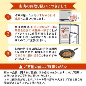 九州産豚コマ切れ肉 計1kg (500g×2P) 焼肉のたれ210g付！ 豚肉 豚こま肉 豚こま切れ 冷凍 小分け 焼肉 野菜炒め 九州産 国産 a1-114