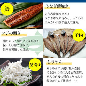 鹿児島県産贅沢三昧セット!鰻蒲焼、アジの干物、釜揚げちりめん、塩辛3種食べ比べ 計6種! 食べ比べ あじ ひもの シオカラ 塩から 水いか うなぎ ウナギ 海産物 バラエティ b5-181