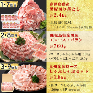 【定期便全12回】豚肉堪能定期便(12ヶ月連続・総量22.8kg以上) 豚 豚肉 肉 国産 九州産 しゃぶしゃぶ 焼肉 豚バラ ロース 切り落し 大容量 人気 小分け 真空包装 t0176-001