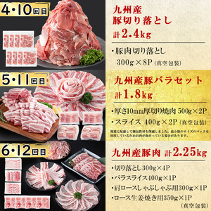 【定期便全12回】豚肉堪能定期便(12ヶ月連続・総量22.8kg以上) 豚 豚肉 肉 国産 九州産 しゃぶしゃぶ 焼肉 豚バラ ロース 切り落し 大容量 人気 小分け 真空包装 t0176-001