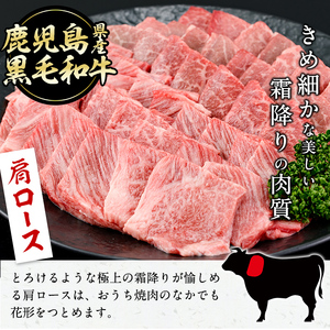 【焼肉3種！食べ比べセット】鹿児島県産黒毛和牛 モモ・肩ロース・ウデの焼肉3種セット＜計600g＞ 牛肉 肉 焼肉 セット 焼肉セット 焼き肉 小分け 食べ比べ 赤身 霜降り やきにく BBQ a6-048