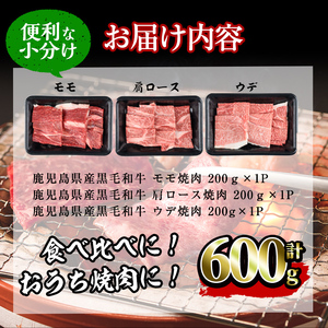 【焼肉3種！食べ比べセット】鹿児島県産黒毛和牛 モモ・肩ロース・ウデの焼肉3種セット＜計600g＞ 牛肉 肉 焼肉 セット 焼肉セット 焼き肉 小分け 食べ比べ 赤身 霜降り やきにく BBQ a6-048