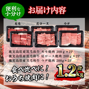 【焼肉3種！食べ比べセット】鹿児島県産黒毛和牛 モモ・肩ロース・ウデの焼肉3種セット＜計1.2kg＞ 牛肉 肉 焼肉 セット 焼肉セット 焼き肉 小分け 食べ比べ 赤身 霜降り やきにく BBQ c0-109