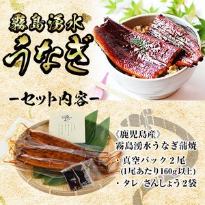 【志布志市人気No.1お礼の品】霧島湧水鰻の蒲焼き 160g以上×2尾＜計320g以上＞ うなぎ 鰻 ウナギ 2尾 国産 九州産 蒲焼き かばやき 冷凍 うな重 ひつまぶし タレ 山椒 ランキング a4-079