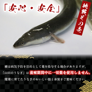 【無薬養鰻】 鹿児島産 山田のうなぎ ＜計480g以上＞（160g以上×3尾） うなぎ 鰻 ウナギ 無薬 養鰻 無投薬 3尾 国産 九州産 蒲焼き かばやき 冷凍 うな重 ひつまぶし タレ 山椒 ランキング 人気 a8-074