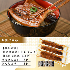 【無薬養鰻】 鹿児島産 山田のうなぎ ＜計480g以上＞（160g以上×3尾） うなぎ 鰻 ウナギ 無薬 養鰻 無投薬 3尾 国産 九州産 蒲焼き かばやき 冷凍 うな重 ひつまぶし タレ 山椒 ランキング 人気 a8-074